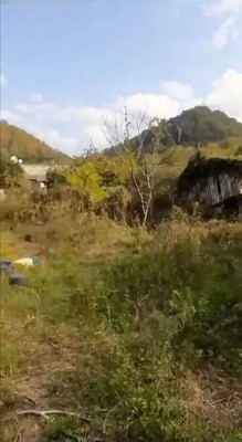 Продам участок 74 соток, ИЖС, Беранда с, 0 км от города