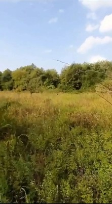 Продам участок 74 соток, ИЖС, Беранда с, 0 км от города