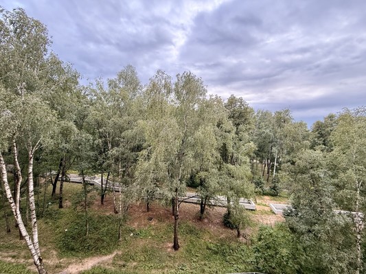 Продам однокомнатную (1-комн.) квартиру, Дмитровская ул, 21, Базарово д