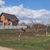 Продам участок 25 соток, ИЖС, Степная ул, 1, Бойкопонура х, 0 км от города
