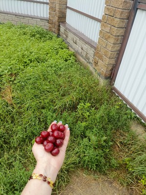 Продам участок 6 соток, ИЖС, Запрудная ул, Гжелка п, 0 км от города