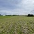 Продам участок 20 соток, ИЖС, Мира ул, Переславль-Залесский г, 0 км от города