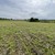 Продам участок 20 соток, ИЖС, Мира ул, Переславль-Залесский г, 0 км от города