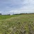 Продам участок 20 соток, ИЖС, Мира ул, Переславль-Залесский г, 0 км от города