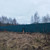 Продам участок 1 соток, ИЖС, Шоссейная ул, Дьяково д, 0 км от города