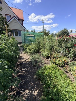 Продам дом, Речник тер. СНТ, 157, Дорожный п, 0 км от города