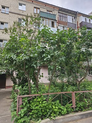 Продам трехкомнатную (3-комн.) квартиру, Академика Губкина ул, 25к2, Казань г