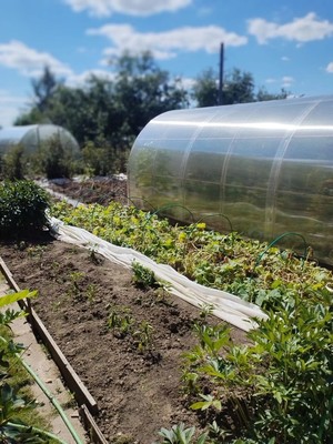 Продам дом, Уголек снт, 110, Кудашевка д, 0 км от города