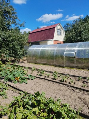 Продам дом, Уголек снт, 110, Кудашевка д, 0 км от города