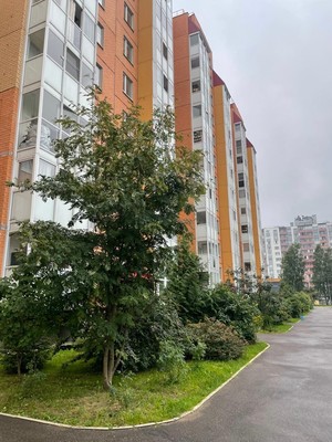 Продам двухкомнатную (2-комн.) квартиру, Новая ул, 16к1, Янино-2 д