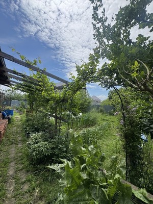 Продам дом, Урожайная (Кубань-2 снт) ул, 29, Елизаветинская ст-ца, 0 км от города