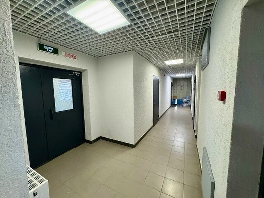 Продам однокомнатную (1-комн.) квартиру, Рахманинова ул, 12, Борисовка д