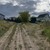 Продам участок 15 соток, ИЖС, Бородино д, 0 км от города