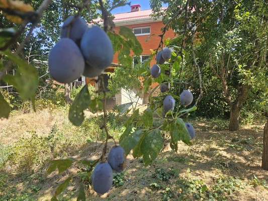 Продам дом, Малиновая (Рассвет снт) ул, 86/2, Знаменский п, 0 км от города