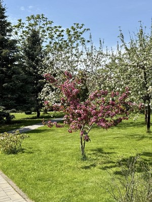 Продам дом, Социалистическая ул, 23Ак2, Красное Село г, 0 км от города