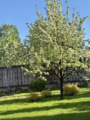 Продам дом, Социалистическая ул, 23Ак2, Красное Село г, 0 км от города