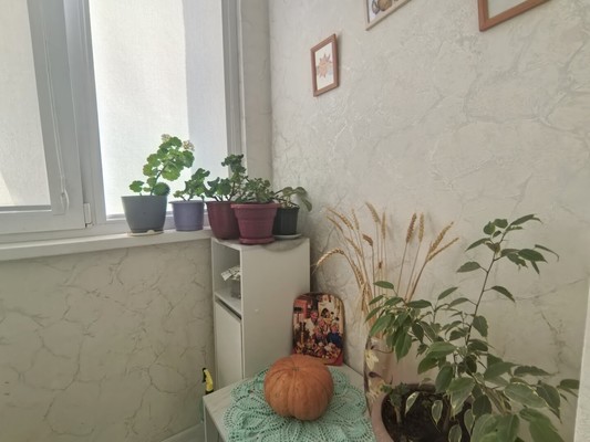 Продам однокомнатную (1-комн.) квартиру, Рождественская ул, 55к2, Анапа г