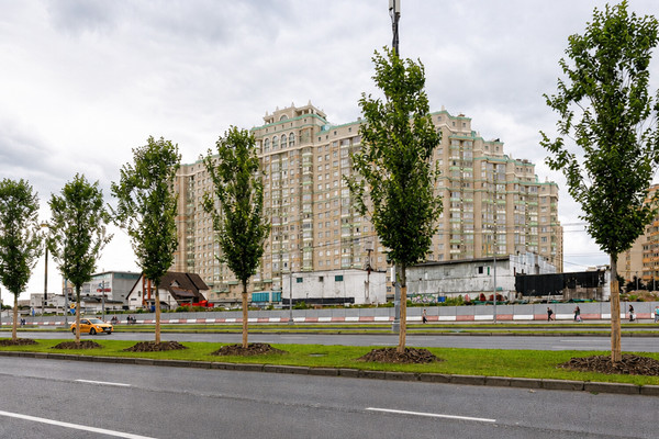 Продам трехкомнатную (3-комн.) квартиру, Ломоносовский пр-кт, 25к5, Москва г