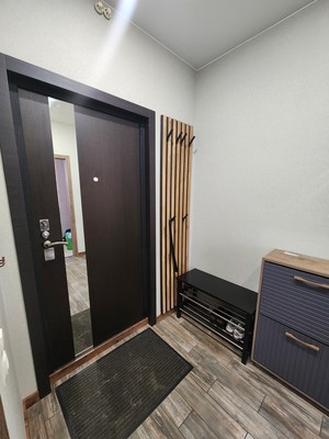 Продам однокомнатную (1-комн.) квартиру, Областная (Новый Оккервиль мкр) ул, 1, Кудрово г