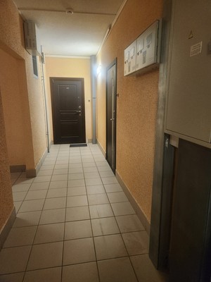Продам однокомнатную (1-комн.) квартиру, Областная (Новый Оккервиль мкр) ул, 1, Кудрово г