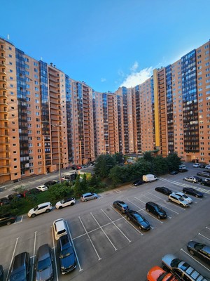 Продам однокомнатную (1-комн.) квартиру, Областная (Новый Оккервиль мкр) ул, 1, Кудрово г