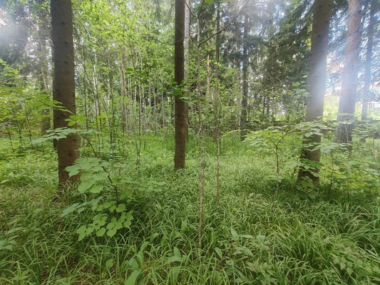 Продам участок 12,2 соток, ИЖС, КИЗ Зеленая роща-1 тер, Сивково д, 0 км от города