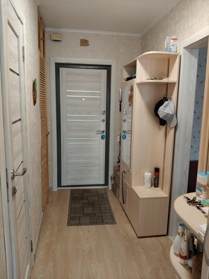 Продам однокомнатную (1-комн.) квартиру, Михалевича ул, 25, Раменское г