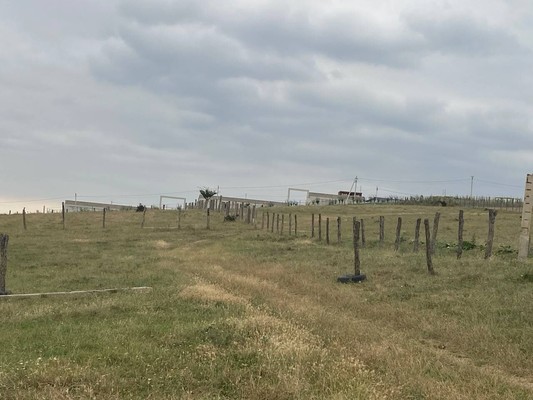 Продам участок 26 соток, ИЖС, Мира ул, Нижнее Казанище с, 0 км от города