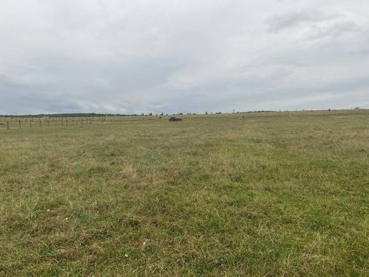 Продам участок 26 соток, ИЖС, Мира ул, Нижнее Казанище с, 0 км от города