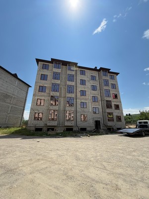 Продам однокомнатную (1-комн.) квартиру, Каменская ул, 101, Шалушка с