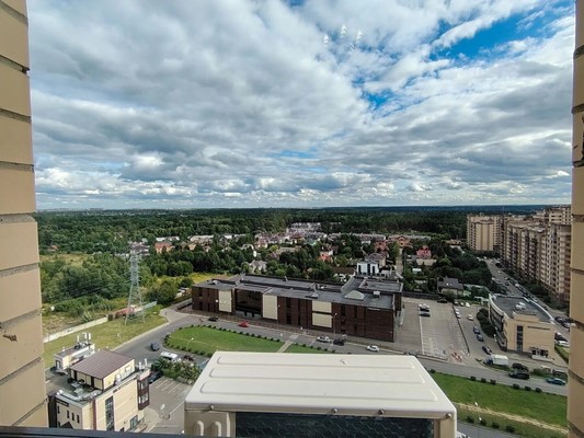 Продам двухкомнатную (2-комн.) квартиру, Триумфальная (МЖК Изумрудная долина тер) ул, 5, Солманово д