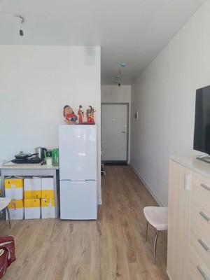Продам однокомнатную (1-комн.) квартиру, 3-я Клеверная ул, 15к1, Раево д