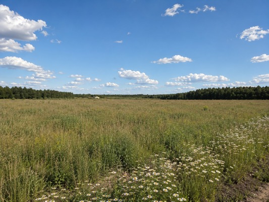 Продам участок 6,7 соток, ИЖС, Якшино д, 0 км от города