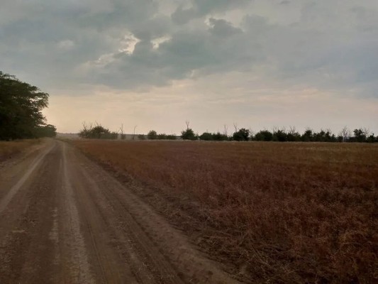 Продам участок 100 соток, ИЖС, Ильичево с, 0 км от города