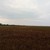 Продам участок 100 соток, ИЖС, Ильичево с, 0 км от города
