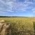 Продам участок 11 соток, ИЖС, Александровка с, 0 км от города