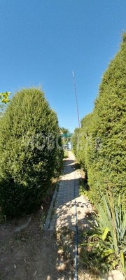 Продам дачу, Радуга тер. СНТ, Кропоткин г, 0 км от города
