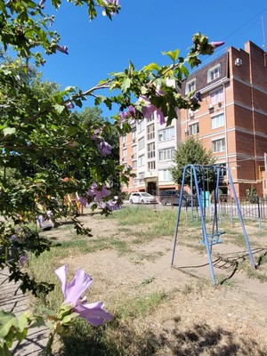 Продам двухкомнатную (2-комн.) квартиру, Лизы Чайкиной ул, 39, Таганрог г