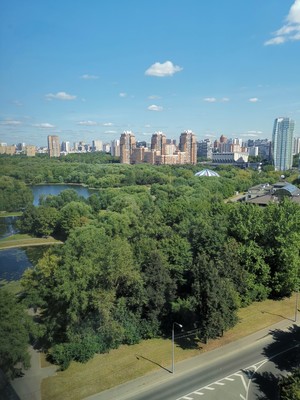 Продам трехкомнатную (3-комн.) квартиру, Авангардная ул, 19/30, Москва г
