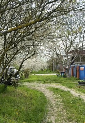 Продам дом, Мира ул, Анастасиевская ст-ца, 0 км от города