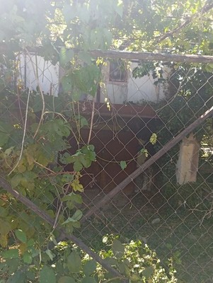 Продам дом, Союз тер. СПК, 246, Приятное свидание с, 0 км от города