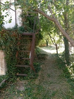 Продам дом, Союз тер. СПК, 246, Приятное свидание с, 0 км от города