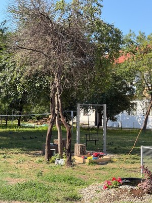 Продам двухкомнатную (2-комн.) квартиру, Т.Идарова ул, 125, Нальчик г