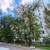 Продам однокомнатную (1-комн.) квартиру, Шепелюгинская ул, 7/14, Москва г