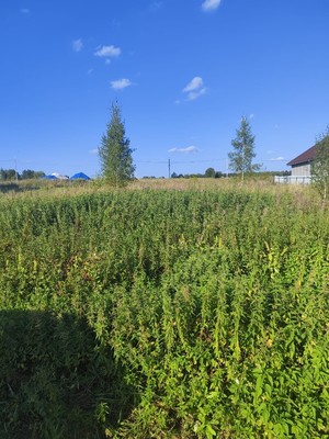 Продам участок 12 соток, ИЖС, Троица д, 0 км от города