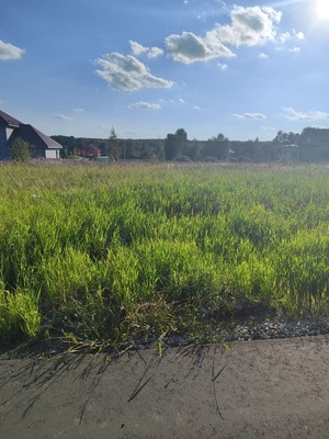 Продам участок 12 соток, ИЖС, Троица д, 0 км от города