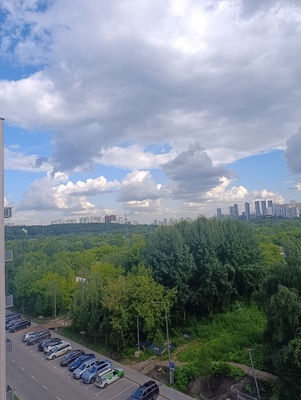 Продам трехкомнатную (3-комн.) квартиру, Парковая ул, 20, Москва г
