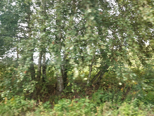 Продам участок 9 соток, Садоводство, Воскресенское д, 0 км от города