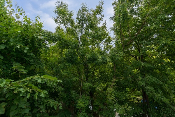 Продам трехкомнатную (3-комн.) квартиру, Рябиновая ул, 8к1, Москва г