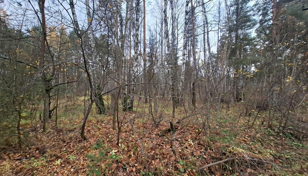 Продам участок 10 соток, Фермерское хоз., Речной туп, Соколова Пустынь д, 0 км от города